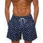 Pineapple Mens Shorts Beach Quick Dry Printing Swimsuit Mesh Liner